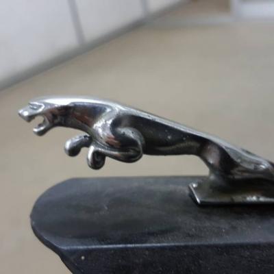 2018 03 16 Photo 00001425