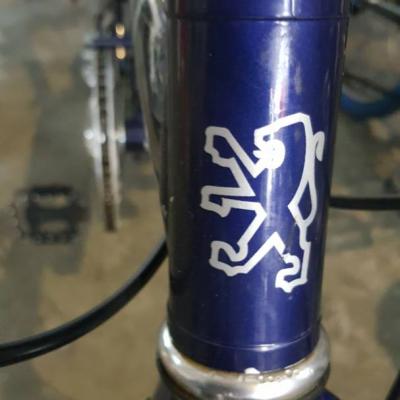 2018 03 16 Photo 00001427